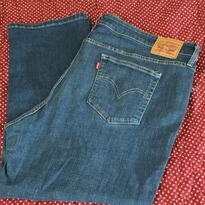 Levi's Women's Boyfriend Jeans in Blue Denim Size 24W